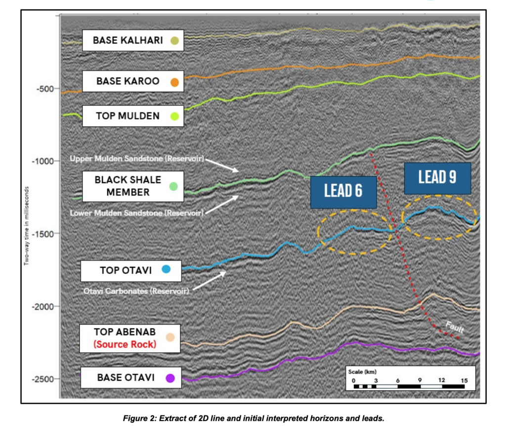 monitor mel pel93 owambo Extract of 2D line and initial interpreted horizons and leads