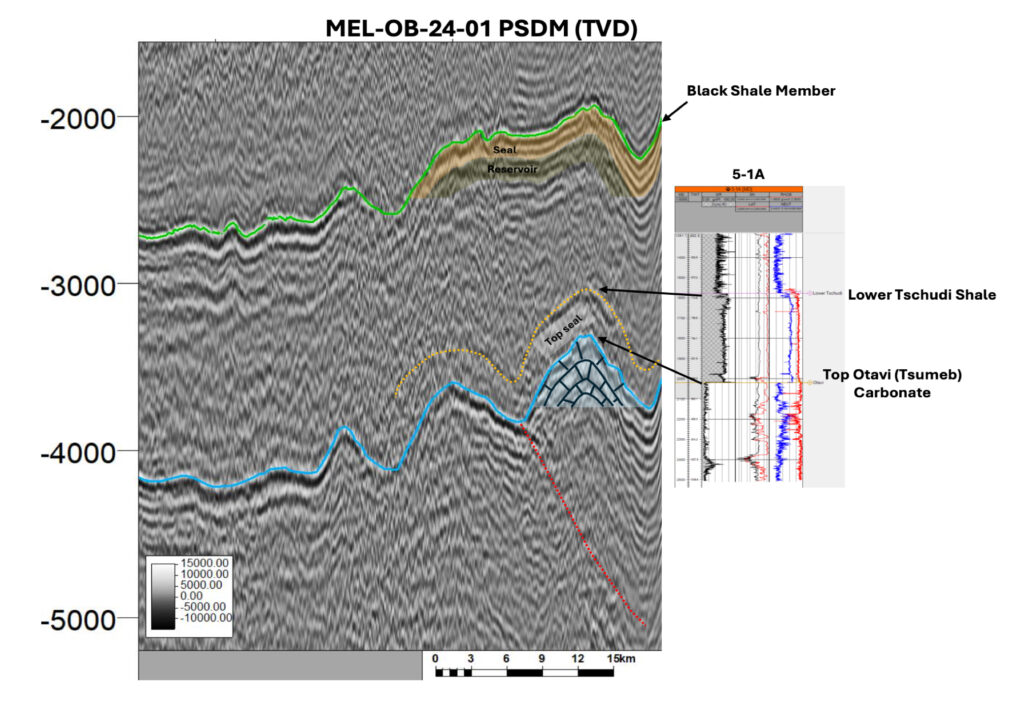 20241210-MEL-OB-24-01-PSDM TVD Owambo 2D seismic